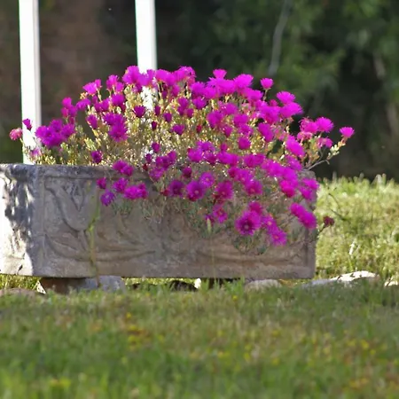 Apartment Embalse De Orellana *