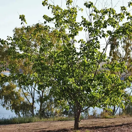 Apartamento Embalse De Orellana