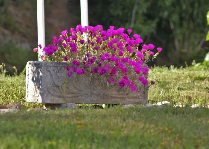 Apartman Embalse De Orellana *