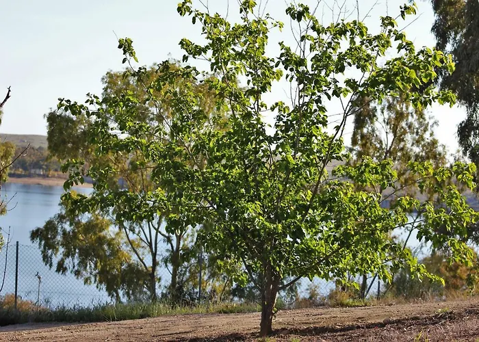 Apartamento Embalse De Orellana